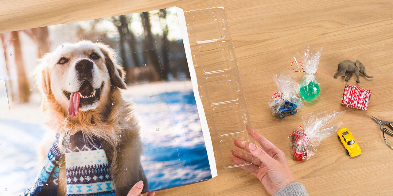 Ein Golden Retriever lächelt glücklich vor einem Fotobuch auf einem Holztisch, umgeben von kleinen Spielzeugen