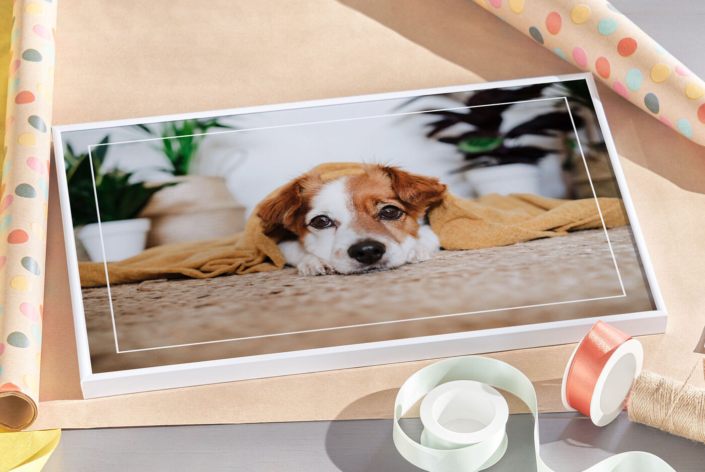 Ein süßer Hund liegt eingekuschelt in einem gelben Handtuch auf einem Teppich. Im Hintergrund sind Pflanzen und Geschenke.