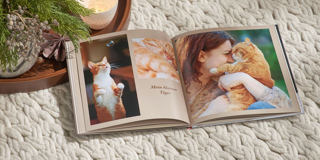 Ein offenes Fotobuch mit Bildern eines Besitzers und seiner Katze, die die Liebe und Verbundenheit zeigen.