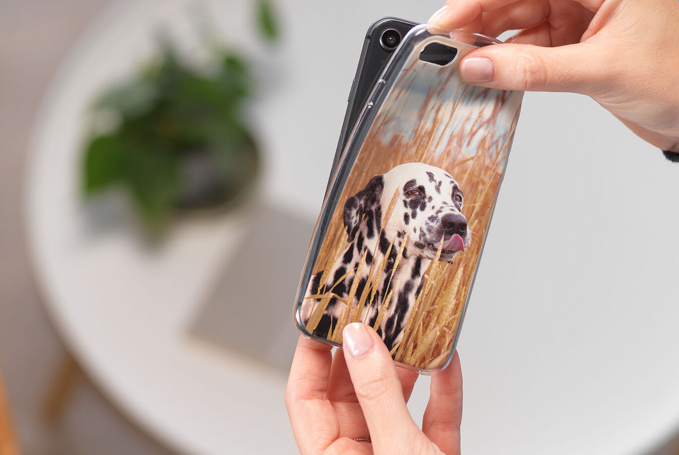 Eine Person hält ein Smartphone mit einer Hülle, die ein Dalmatinerfoto zeigt