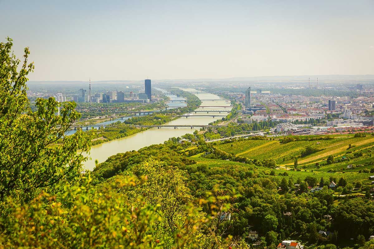 Aussicht auf die Donau und die Stadt von einem Hügel aus, umgeben von grüner Natur