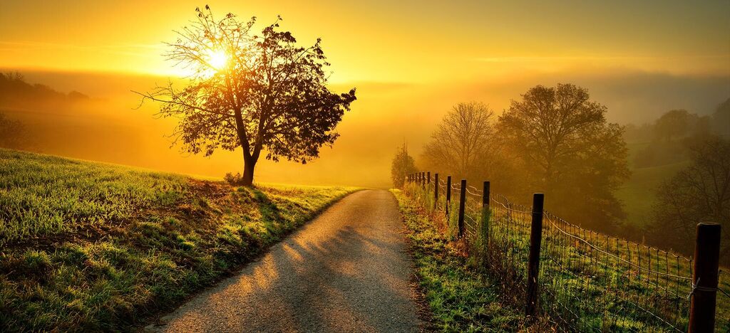 Eine malerische Landschaft bei Sonnenuntergang mit einem einsamen Baum und sanften Hügeln im Hintergrund.