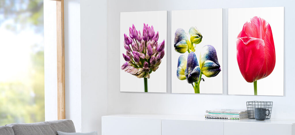 Drei lebendige Blumenbilder in einem modernen Raum an der Wand.