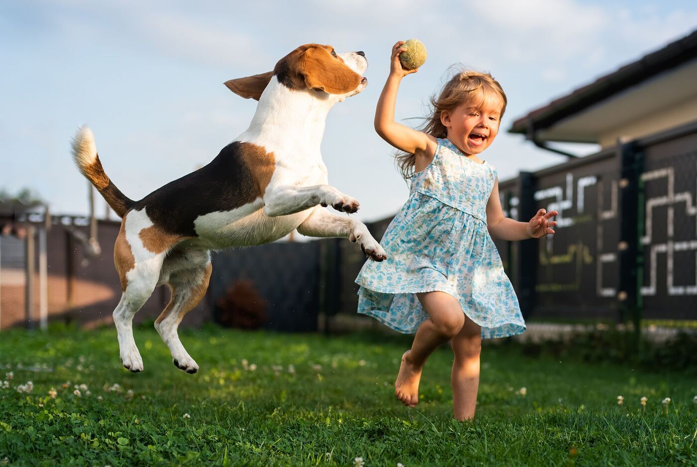 Ein fröhlicher Hund springt nach einem Ball, während ein Kind in einem sommerlichen Kleid spielt