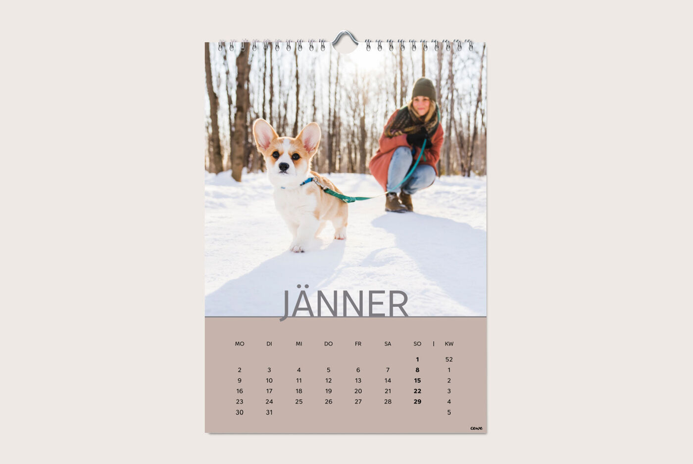 Ein Corgi steht im Schnee, während eine Person mit Kamera auf einem Hintergrund fokussiert ist. Der Monat Januar ist sichtbar.