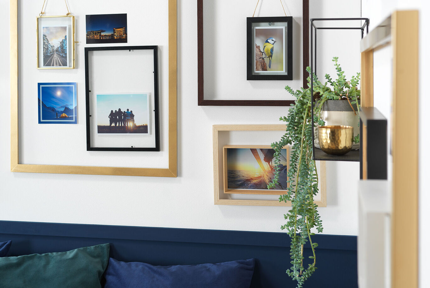 Verschiedene Bilderrahmen mit Fotografien und Pflanzen auf einer Wand, dekorativ gestaltet