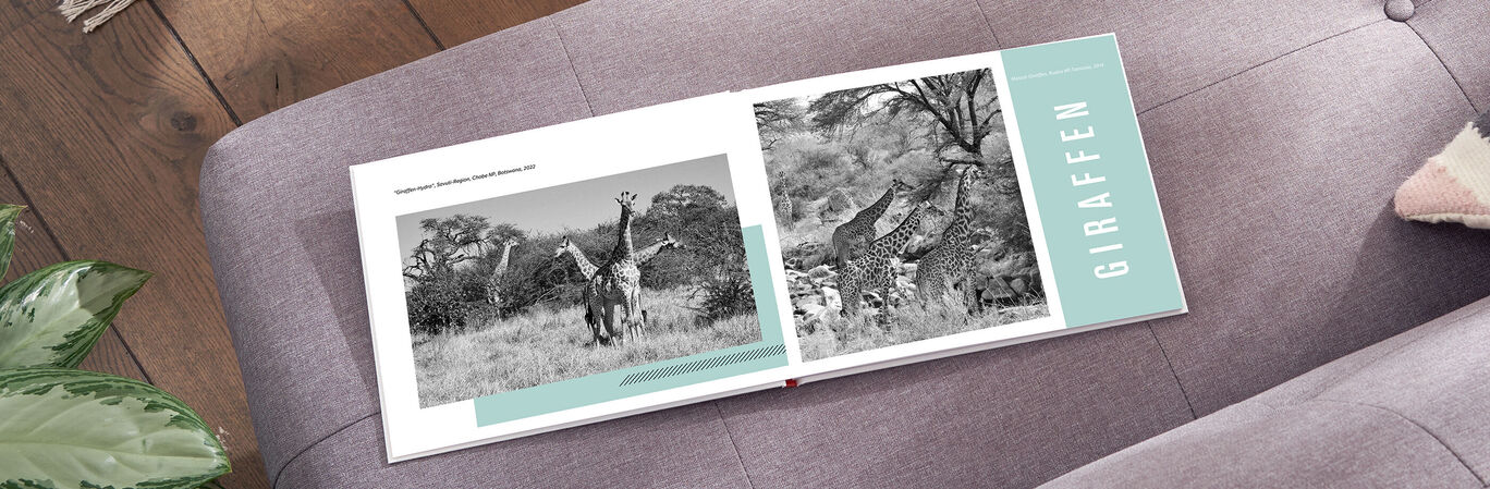 Zwei Giraffen auf einer grünen Wiese im CEWE FOTOBUCH.