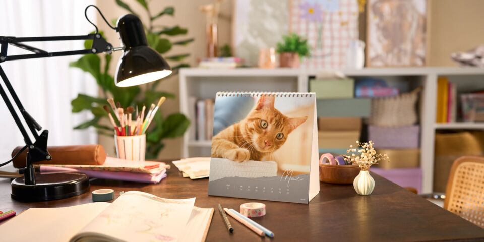 Quadratischer Wochenkalender im Tischkalender-Format mit einem orangefarbenen Kater auf einem Schreibtisch.