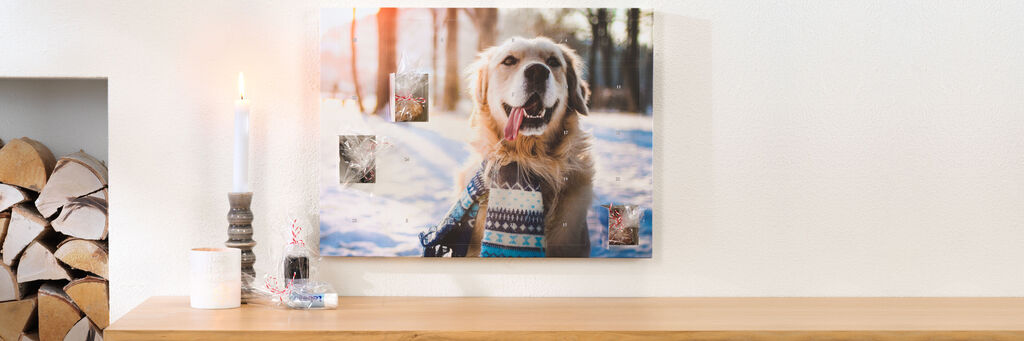 Ein golden retriever mit einem fröhlichen Gesicht steht in einem verschneiten Park, umgeben von einer warmen winterlichen Atmosphäre. Im Hintergrund sind einige Fotografien an der Wand zu sehen.