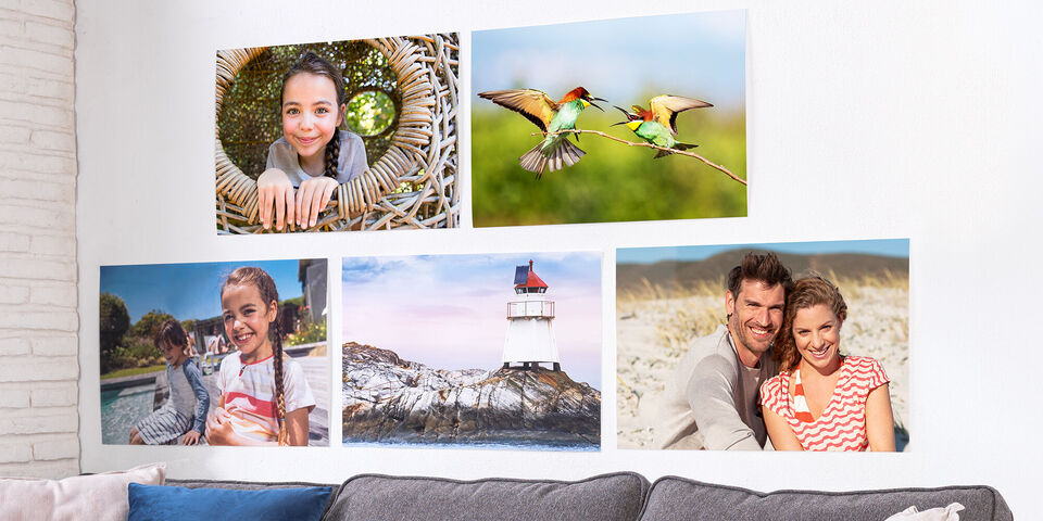 Sechs Fotos an einer Wand, darunter eine gemütliche Couch.
