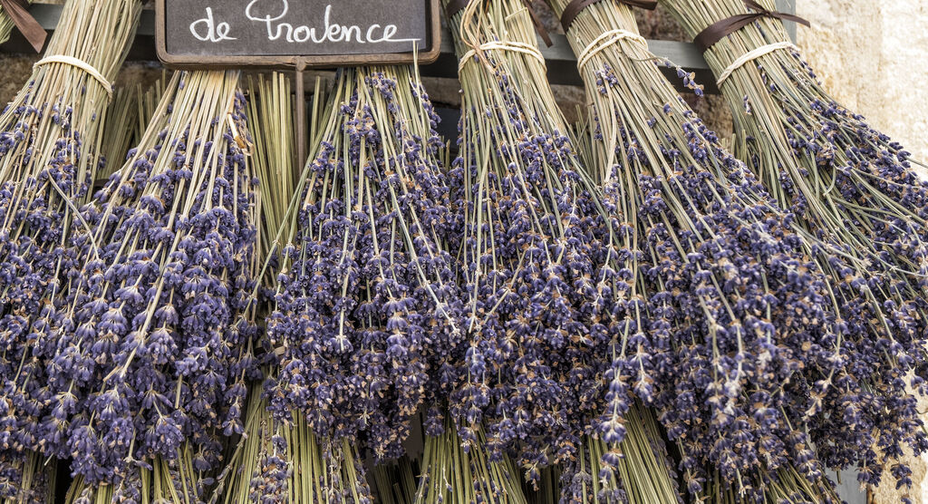 Bündel getrockneter Lavendel hängen zum Trocknen in einem Geschäft, beschriftet mit 'de Provence'