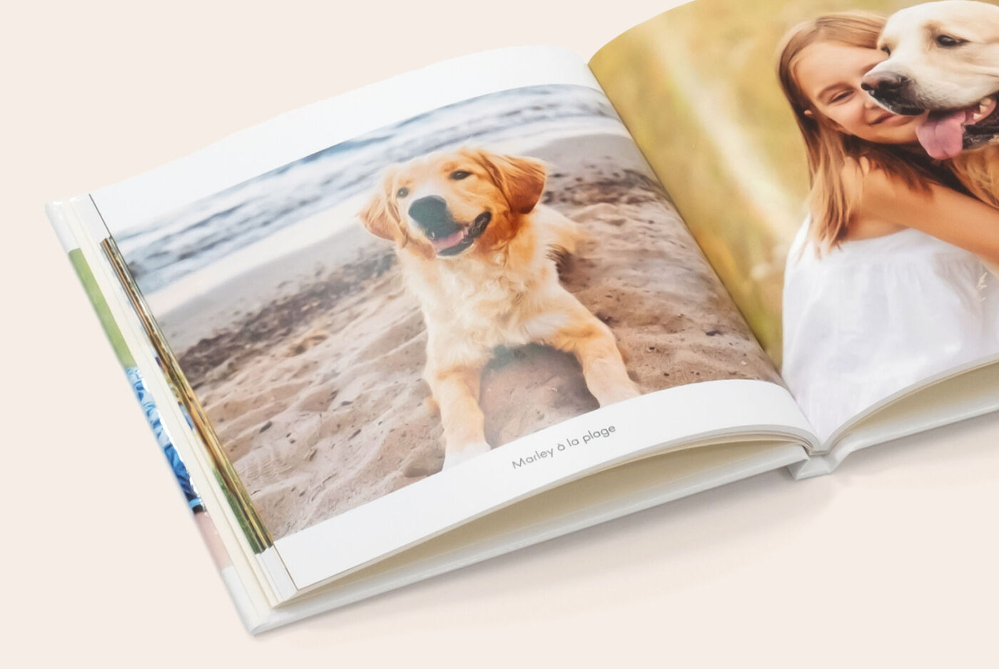 Nahaufnahme eines CEWE FOTOBUCH mit Digitaldruck-Papier und klassischer Buchbindung. Auf der Seite ist das Foto eines Hundes.