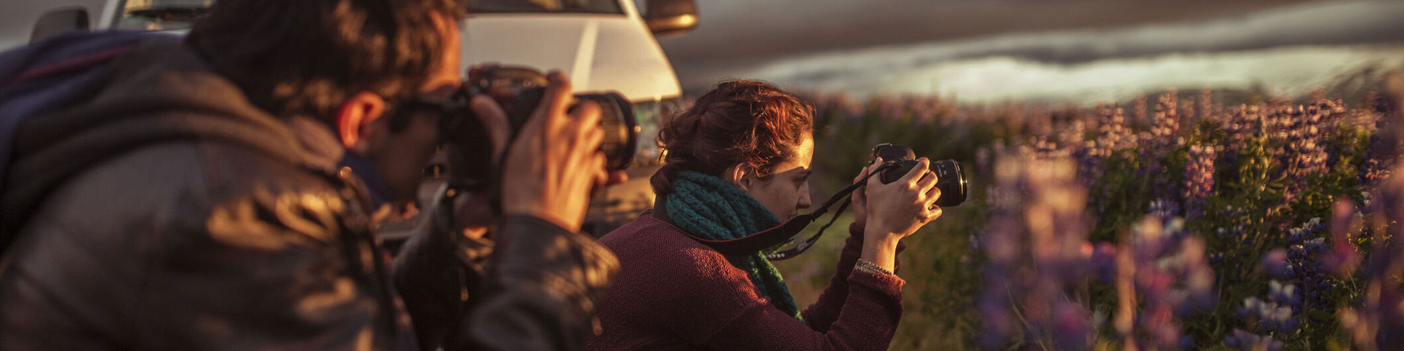 Zwei Personen fotografieren eine Blumenwiese im Sonnenuntergang