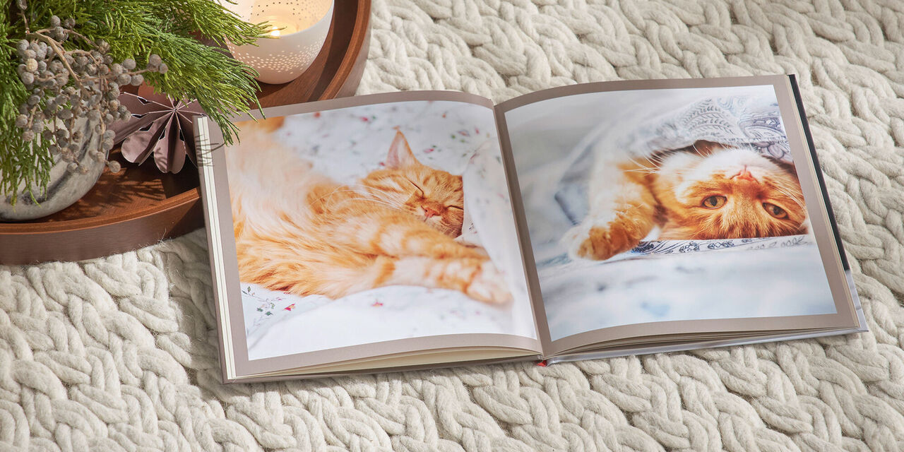Offenes Fotobuch mit zwei Bildern von einem entspannten, orangefarbenen Kater.