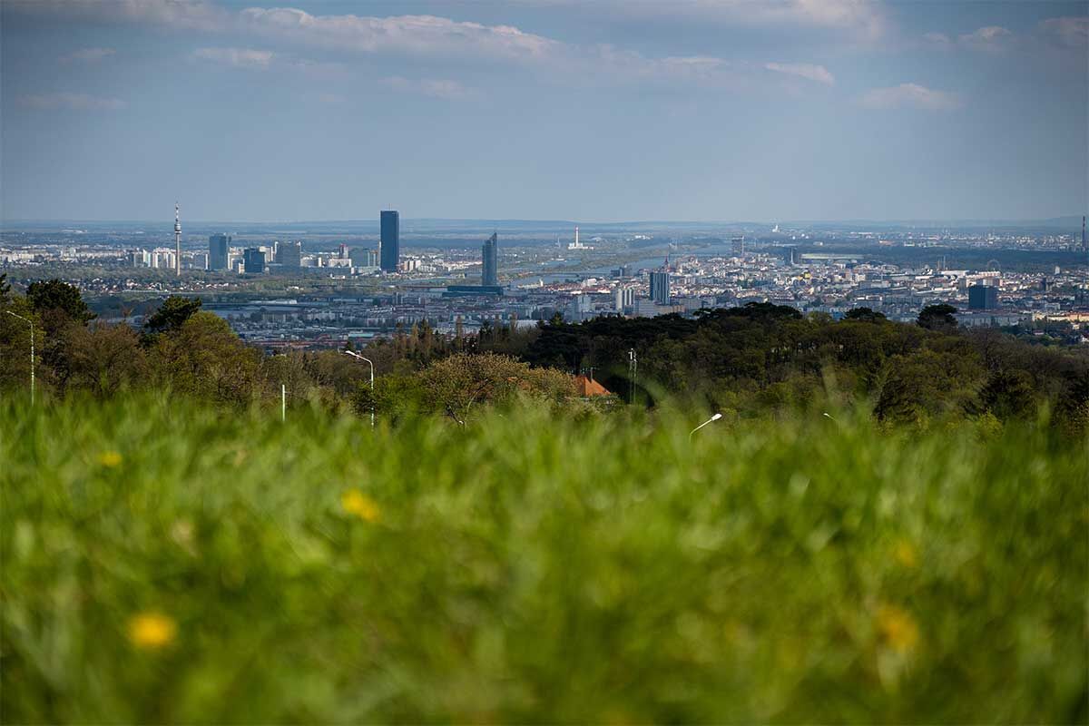 Panoramaansicht einer Stadt mit Hochhäusern vor einer grünen Wiese