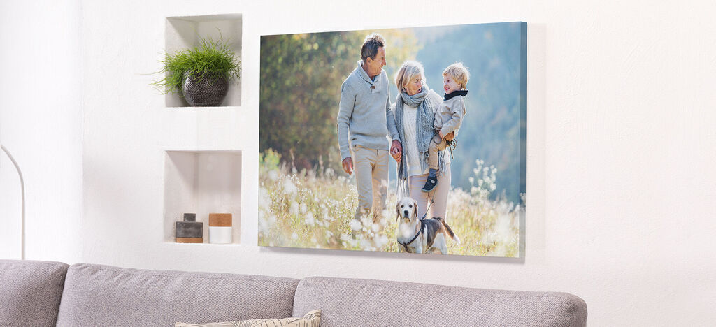 Eine fröhliche Familie mit Hund spaziert in der Natur. Sie genießen den sonnigen Tag.