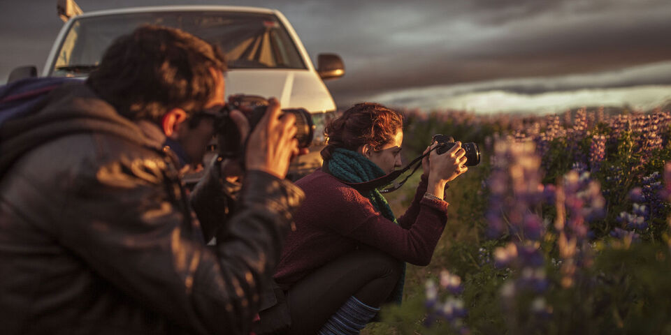 Gruppenausflügler fotografieren gemeinsam eine blühende Blumenlandschaft im Abendlicht