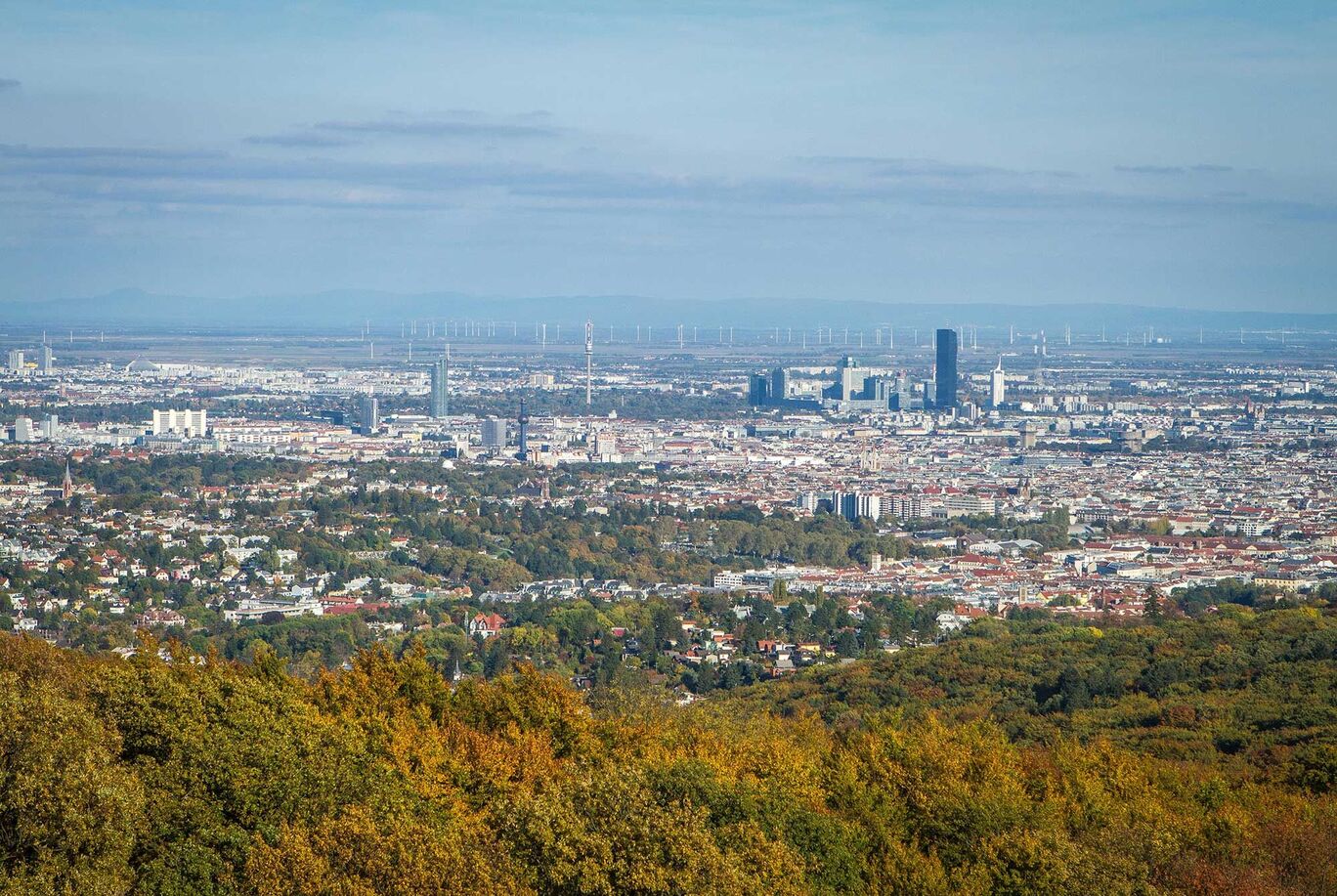 Blick auf eine große Stadt mit grünen Bäumen im Vordergrund und modernen Gebäuden im Hintergrund