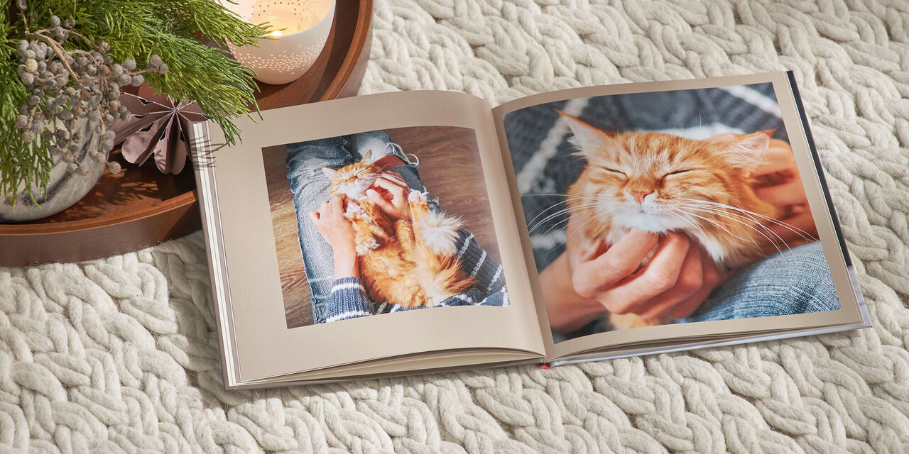Ein geöffnetes Fotobuch liegt auf einer weichen Decke. Auf der linken Seite ist eine Katze, die gestreichelt wird, und auf der rechten Seite sieht man eine Hand, die die Katze liebkost.