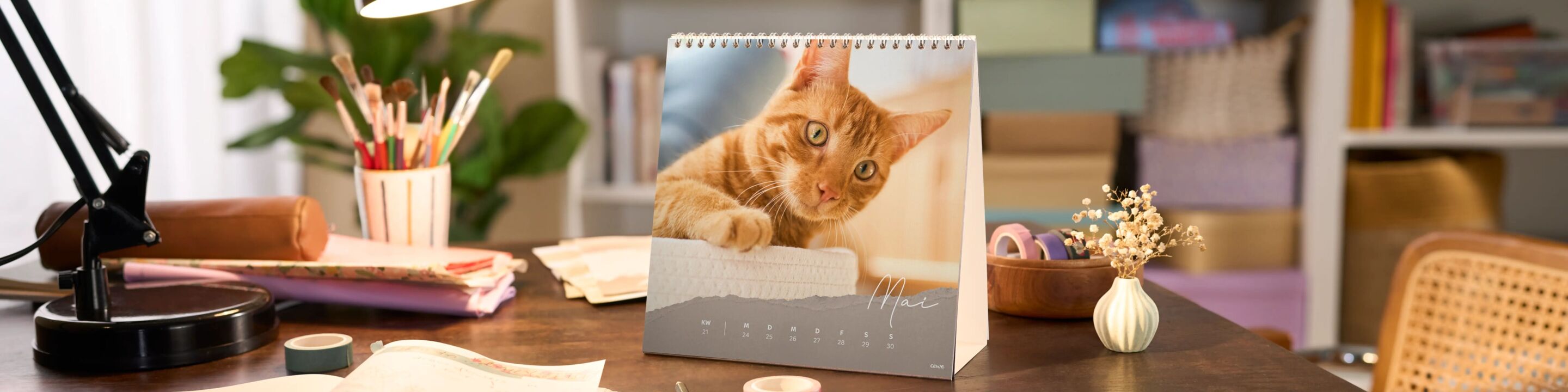 Quadratischer Wochenkalender im Tischkalender-Format mit einem orangefarbenen Kater auf einem Schreibtisch.