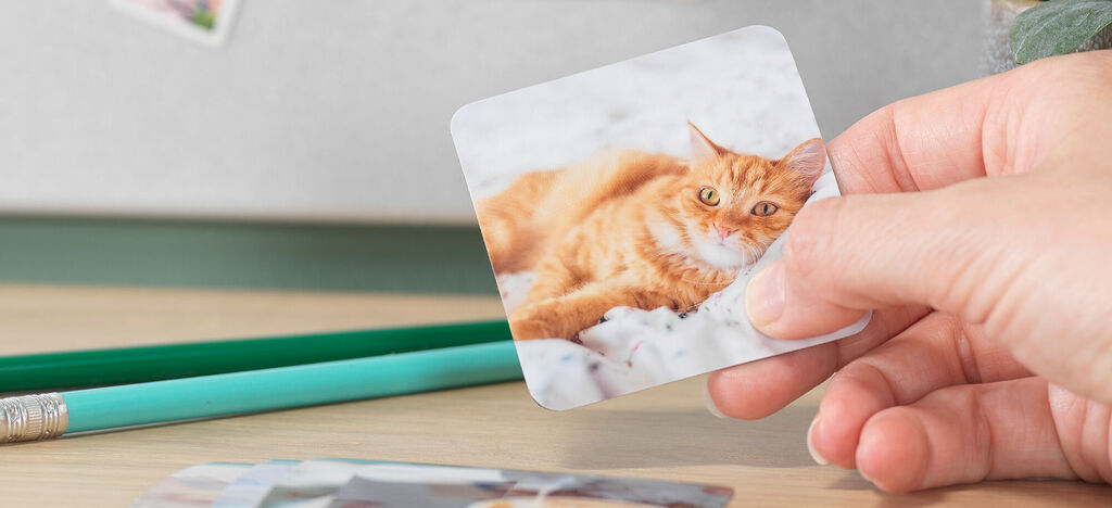 Eine orangefarbene Katze liegt auf einem weichen, weißen Untergrund. Eine Hand hält ein Foto von ihr. Im Hintergrund sind einige grüne Stifte zu sehen.