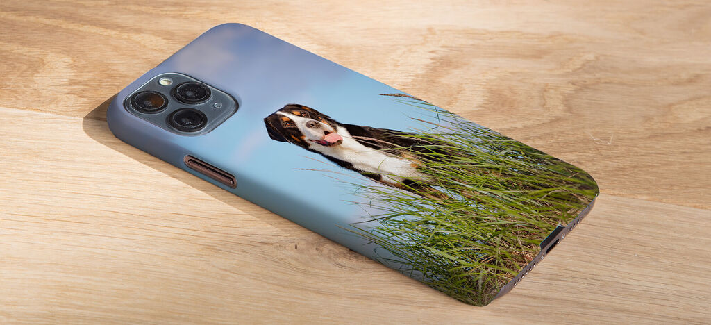 Handy mit einem Bild eines glücklichen Hundes in der Natur